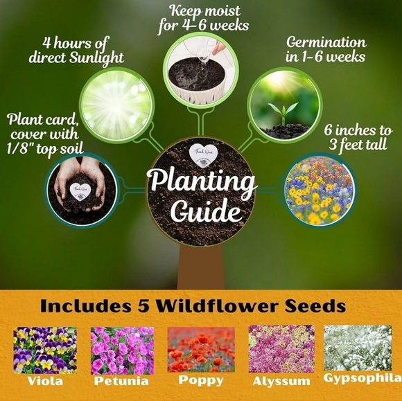 💚🌏💚FREE💚🌏💚 - Picture 1 of 3